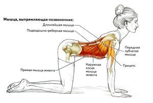 image1446627399
