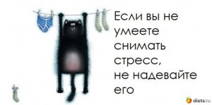 image_mini1443684414
